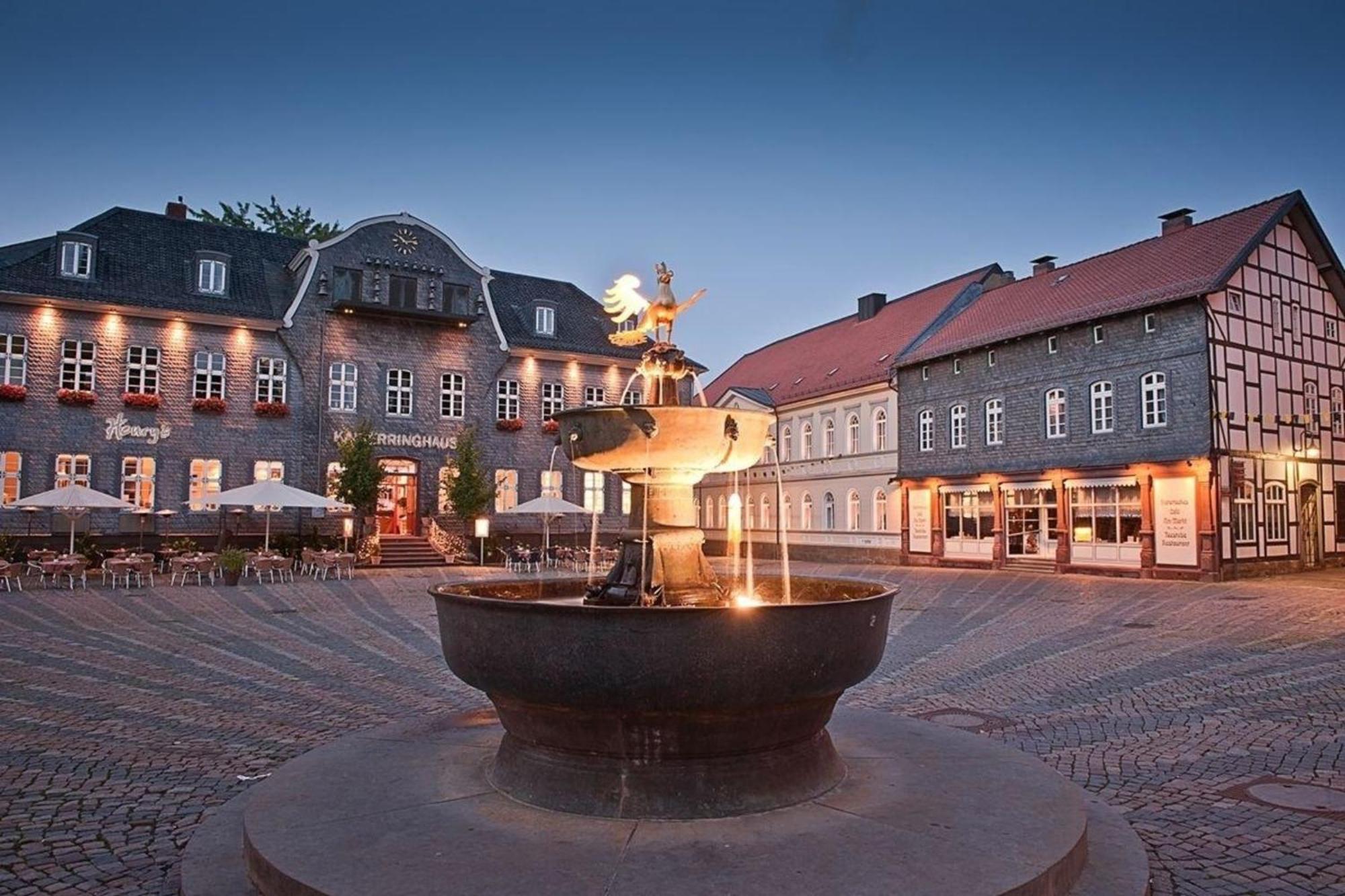 In Mit Terrasse Und Grill Apartamento Goslar