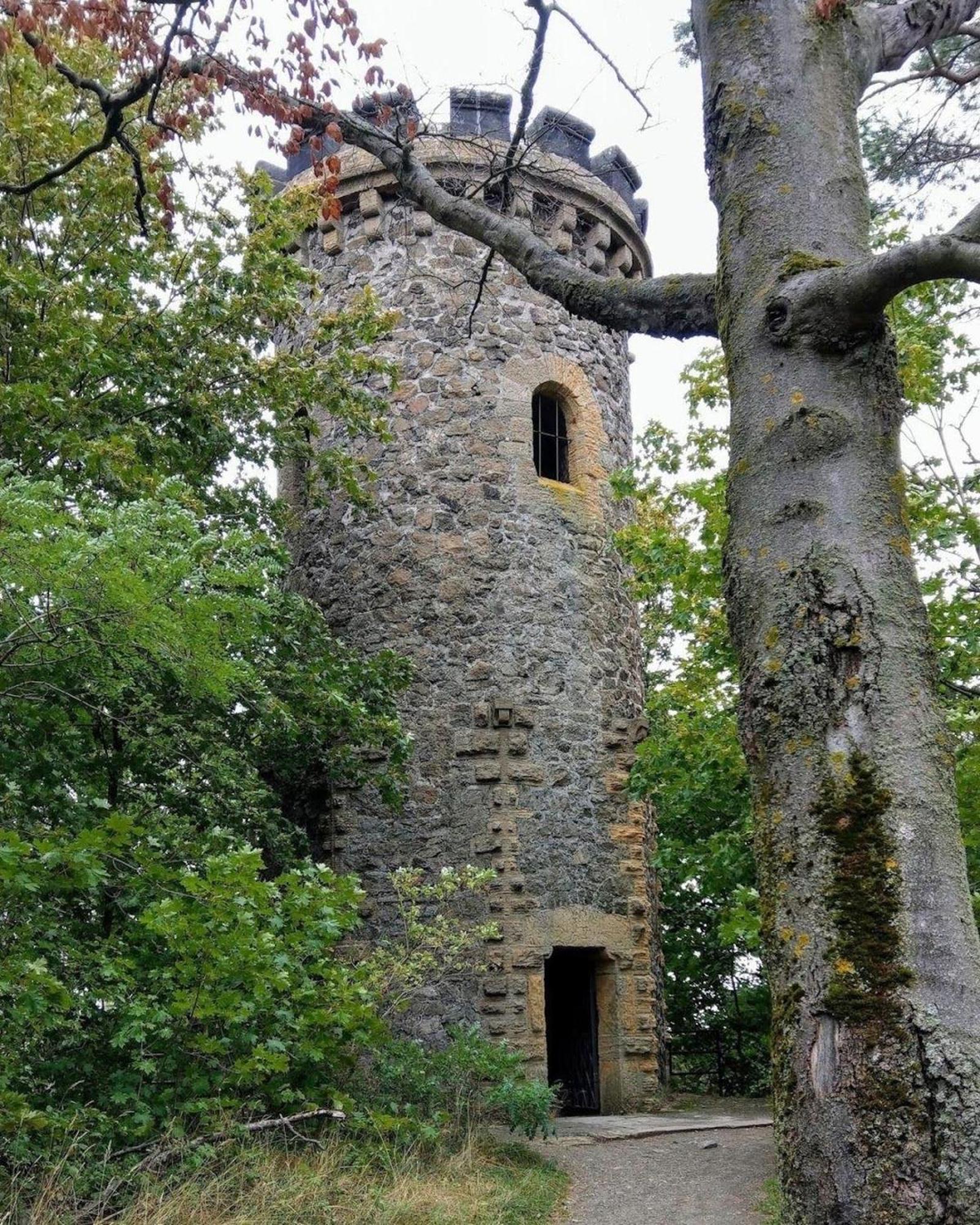 In Mit Terrasse Und Grill Apartment Goslar